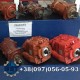 Ремонт гідронасоса Bobcat CT1021